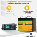 Bateria de lítio 100Ah 12V LiFePO4